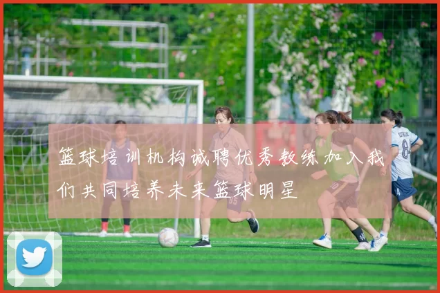 篮球培训机构诚聘优秀教练加入我们共同培养未来篮球明星