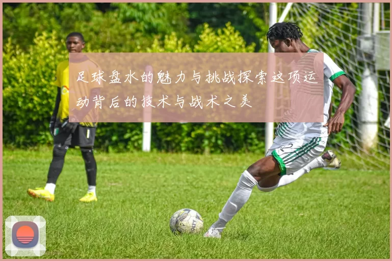 足球盘水的魅力与挑战探索这项运动背后的技术与战术之美
