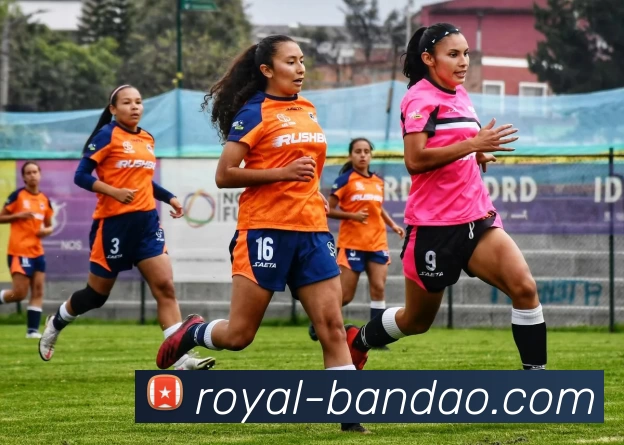 半岛体育平台生态图