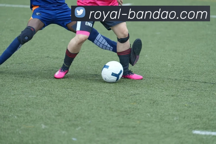 半岛体育全站App